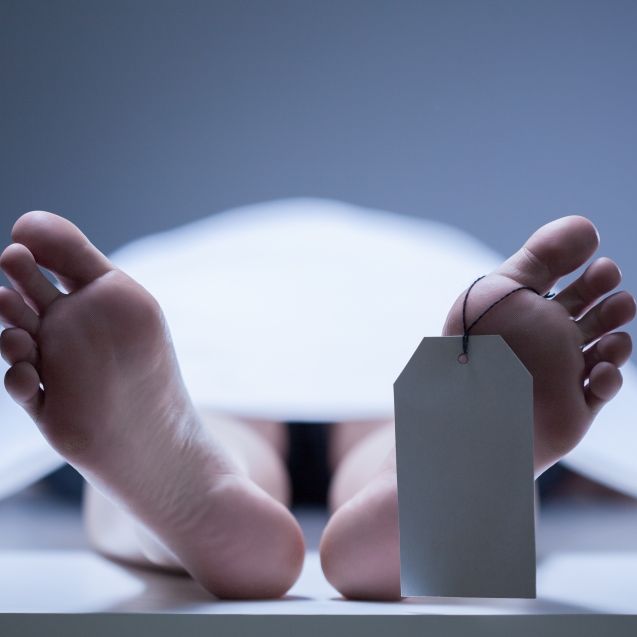 Horror-Tod! Polizisten finden Leiche von Model in Kühlschrank