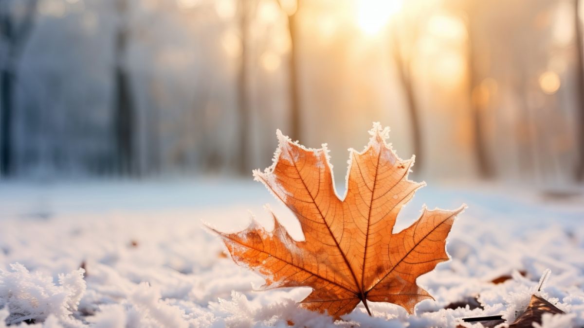 #Wetter-Vorhersage zum Besten von November: Sau-Wetter donnert an! Hier droht dieser erste Schnee