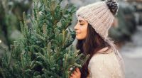 Welche Weihnachtsbaum-Sorte ist besonders lang haltbar?