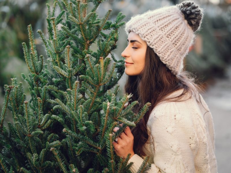 Weihnachtsbäume 2025: Tannen, Kiefern, Fichten - welche Bäume halten am längsten?