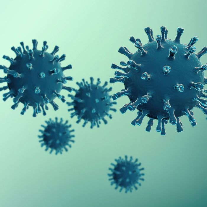 Experten warnen: Killerviren werden bis 2050 zwölfmal mehr Menschen töten!