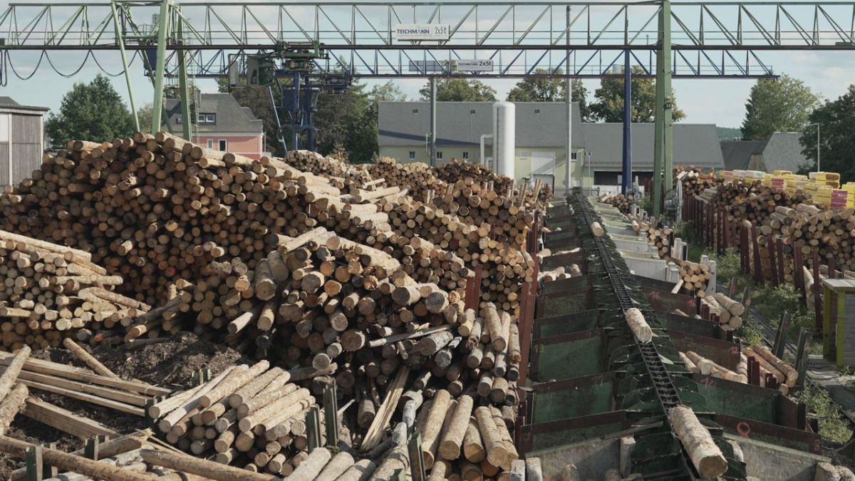 #"makro: Habgier nachher Holz – Die Ausbeutung unserer Wälder" vom zweiter Tag der Woche c/o 3sat: Wiederholung des Wirtschaftsmagazins im TV und online