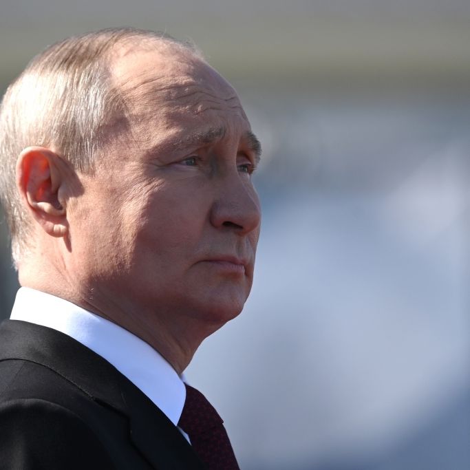 Selbst im Koma! Politik-Experte sagt Putin-Sieg voraus