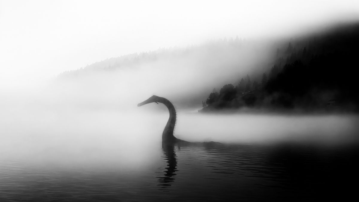 Gibt es eine einfache Erklärung für das angebliche Ungeheuer von Loch Ness? (Foto)