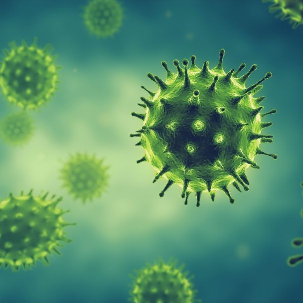 Droht ein neues Pandemievirus? Gesundheitsexperten brechen ihr Schweigen