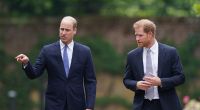 Prinz William will angeblich seinen Bruder Prinz Harry nie mehr wiedersehen.