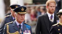 Mit seinem jüngeren Sohn Prinz Harry hat König Charles III. Stress am laufenden Band.