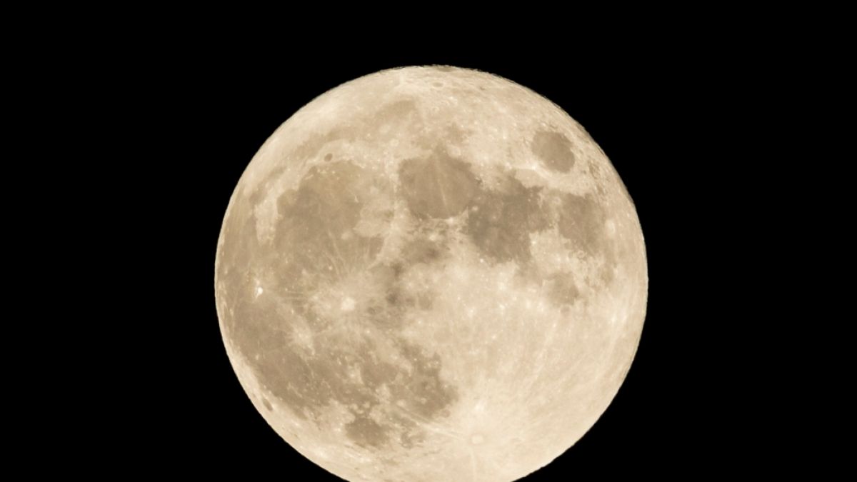 Mond-Fans dürfen sich 2024 auf mehrere Highlights am Himmel freuen. (Foto)