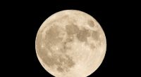 Mond-Fans dürfen sich 2024 auf mehrere Highlights am Himmel freuen.