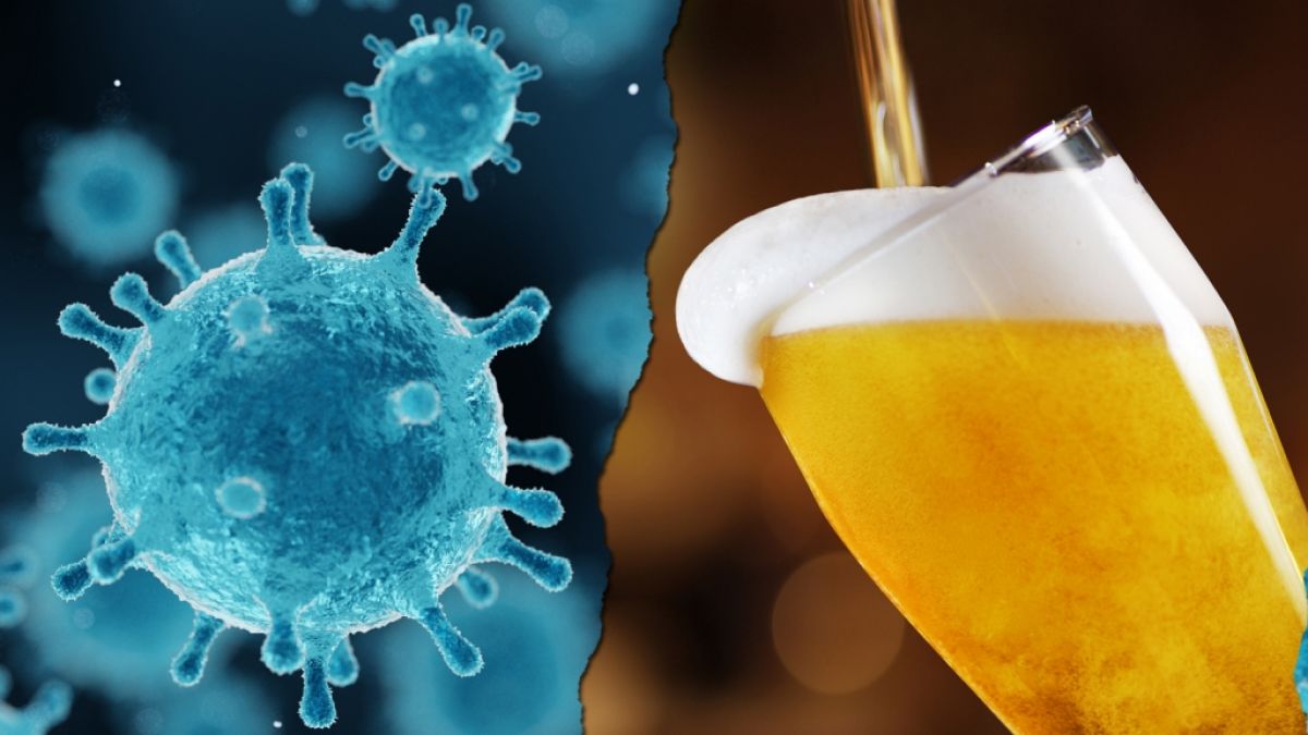 Wissenschaftler haben herausgefunden, dass einige Bierinhaltsstoffe gegen das Coronavirus wirken. (Foto)
