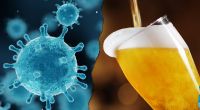 Wissenschaftler haben herausgefunden, dass einige Bierinhaltsstoffe gegen das Coronavirus wirken.