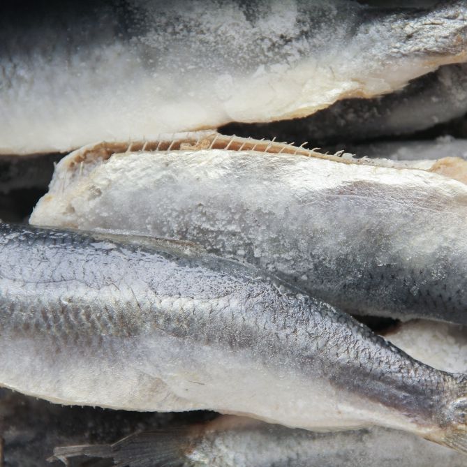 Achtung, unbekannter Fisch enthalten! Hersteller ruft TK-Fisch zurück