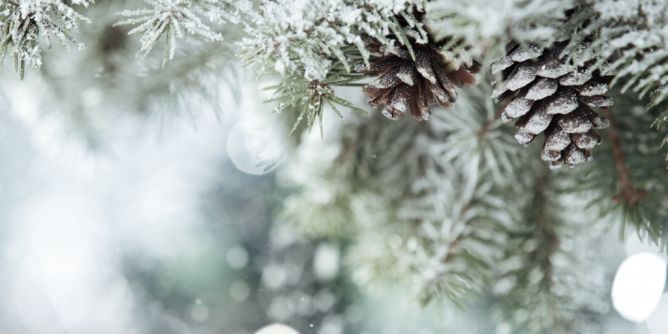 Hundertjähriger Kalender im Januar 2024