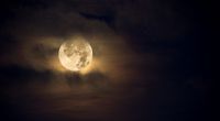 In der letzten und längsten Vollmondnacht des Jahres leuchtet ein Cold Moon am Himmel.