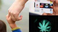 Im Jahr 2024 tritt eine Reihe von neuen Gesetzen in Kraft, die unter anderem das Elterngeld, das Deutschland-Ticket und die Cannabis-Legalisierung betreffen.