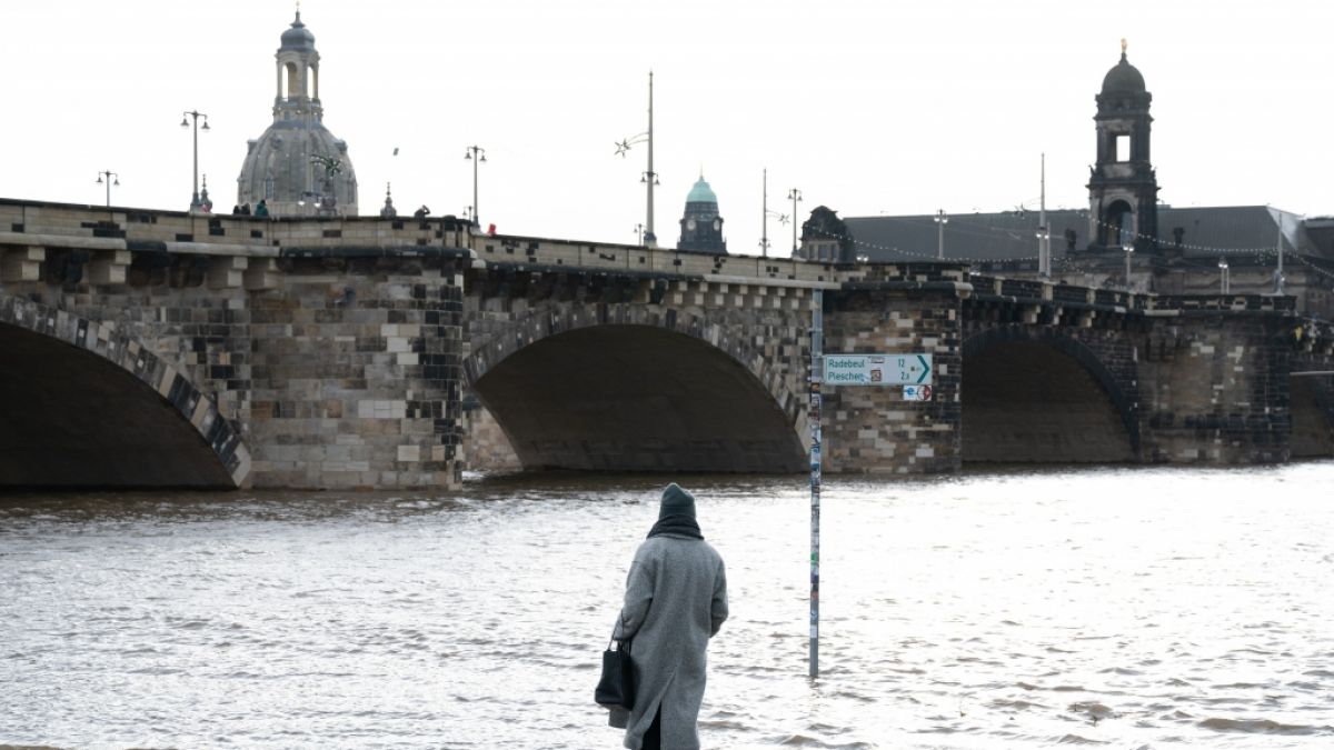 In Dresden herrscht Hochwasser-Alarmstufe 3. (Foto)