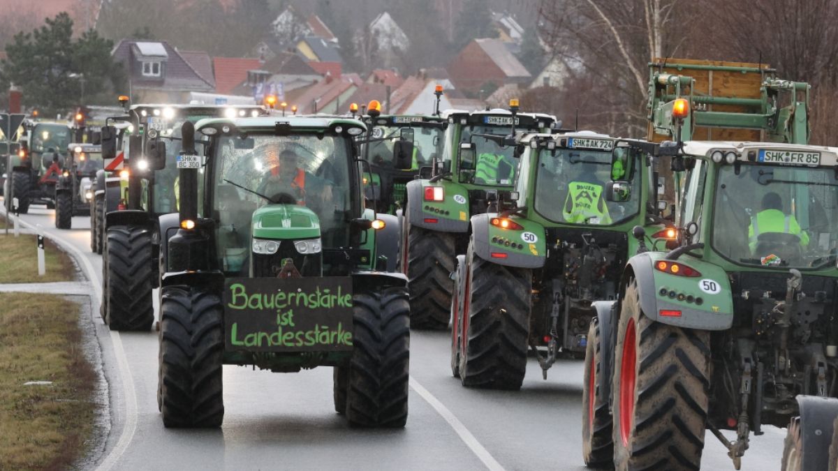 Ampel Regierung nimmt Kürzungen für Landwirte teils zurück. (Foto)