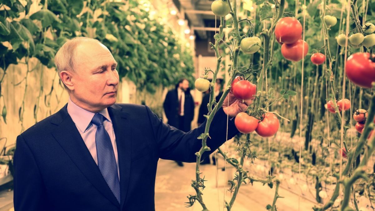 Wladimir Putin besuchte eine Gewächshausfarm und begutachtete junges Gemüse. (Foto)