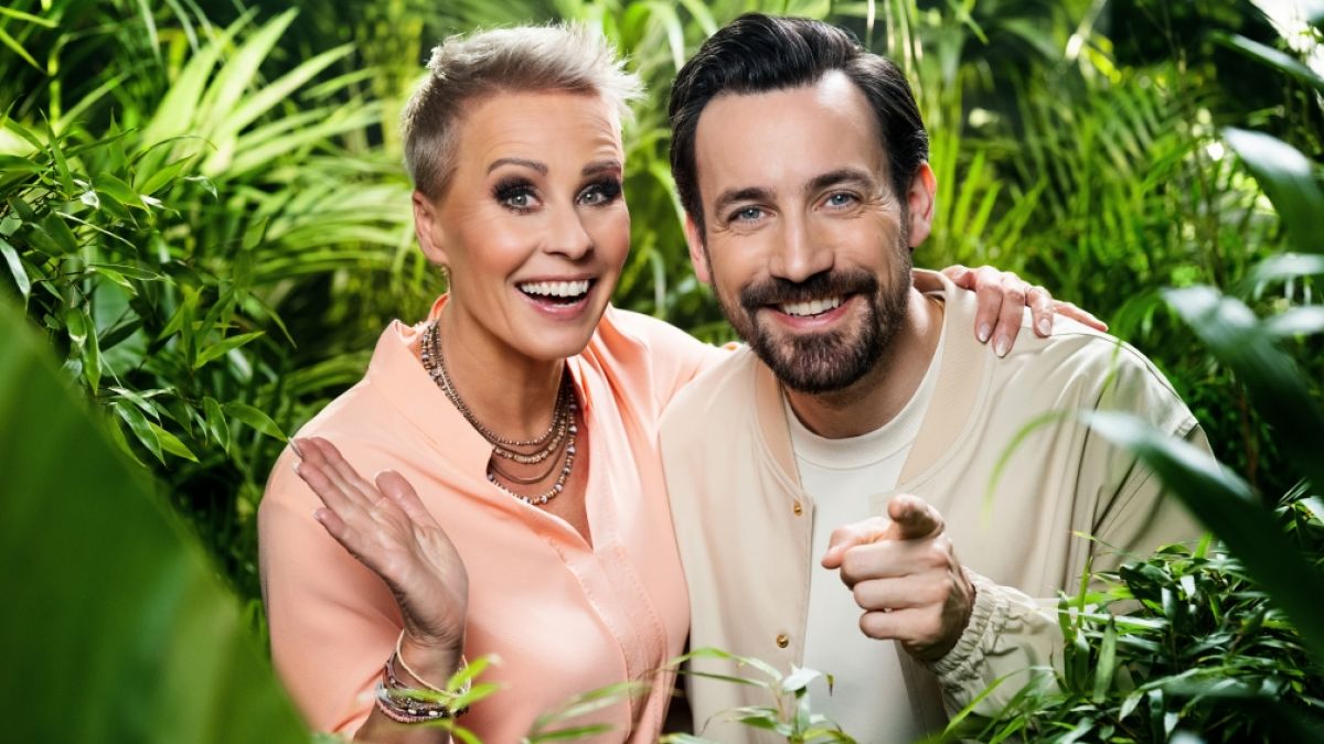 Moderiert wird das RTL-Dschungelcamp 2024 wieder von Sonja Zietlow und Jan Köppen. (Foto)