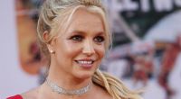 Britney Spears kämpft angeblich mit den Folgen eines Oben-ohne-Eklats.