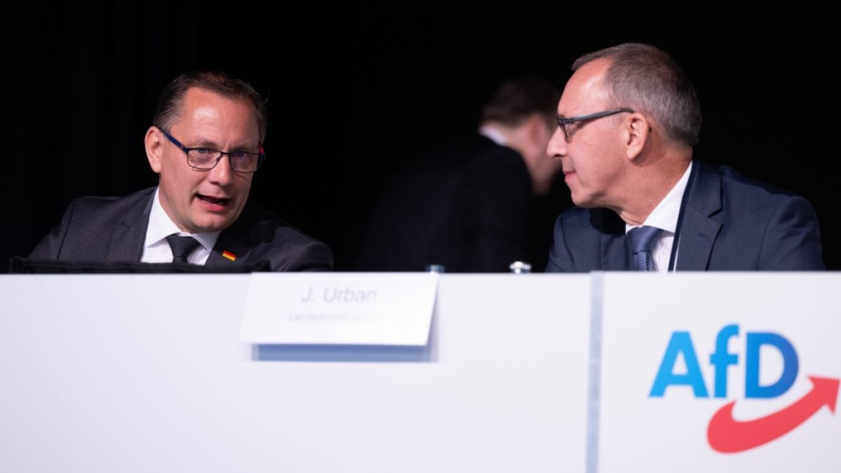 Arbeiten AfD-Bundessprecher Tino Chrupalla (l.) und Franktionsvorsitzender Jörg Urban bereits an der Machtübernahme in Sachsen? (Foto)
