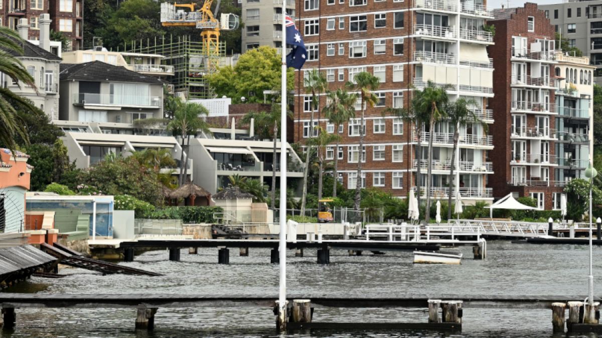 Im Hafen von Sydney ist eine Frau von einem Hai attackiert worden. (Foto)