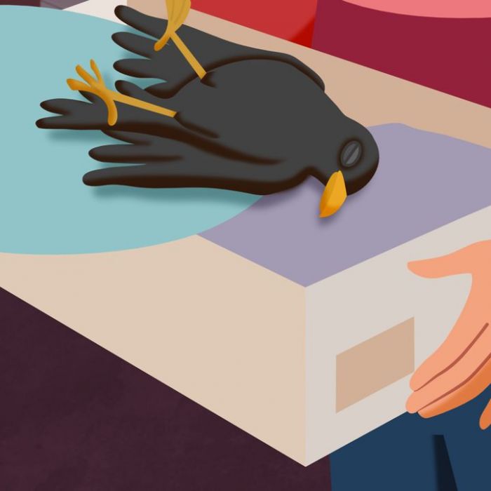 Wir Kinder aus dem Möwenweg bei KiKA