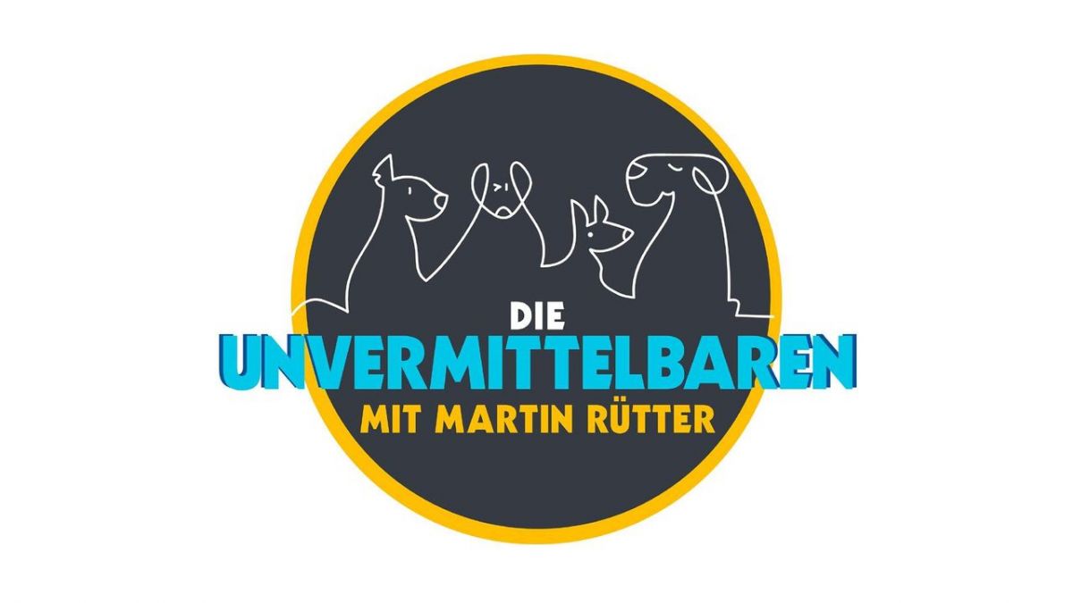 Die Unvermittelbaren - Mit Martin Rütter bei RTL (Foto)