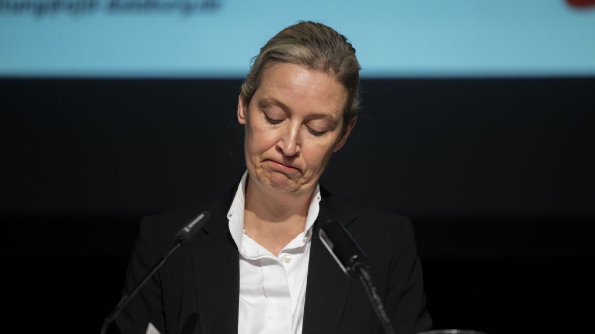 Alice Weidel stürzte im aktuellen Politiker-Ranking ab. (Foto)