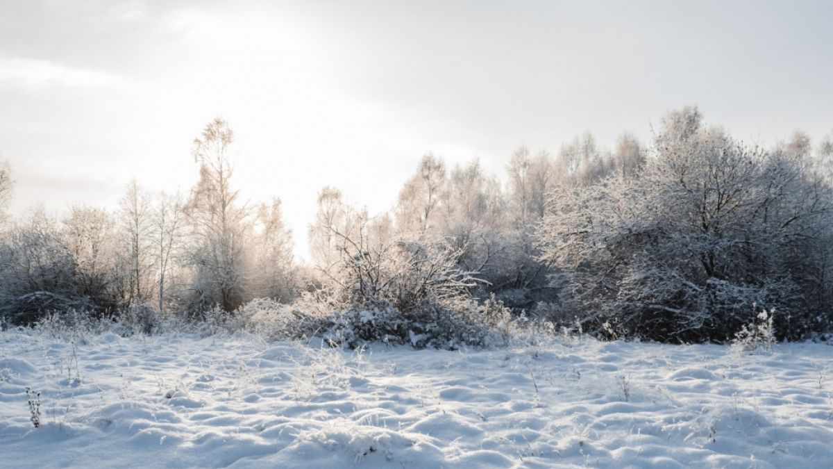 Schnee-Orkan Ute bringt den Winter zurück. (Foto)