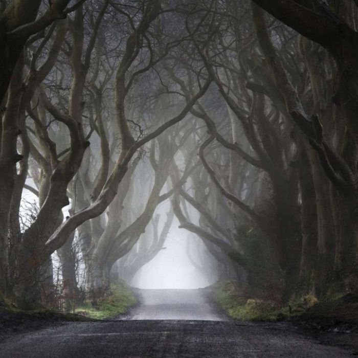 Wiederholung und Mediathek zur Sendung