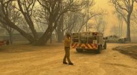Die Feuerwehr kämpft in Texas gegen sich schnell ausbreitende Waldbrände.