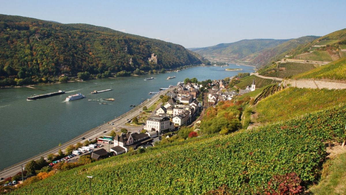 Regionen wie Rüdesheim am Rhein werden als Urlaubsziel immer beliebter. Bild: FreizeitMonster (Foto)