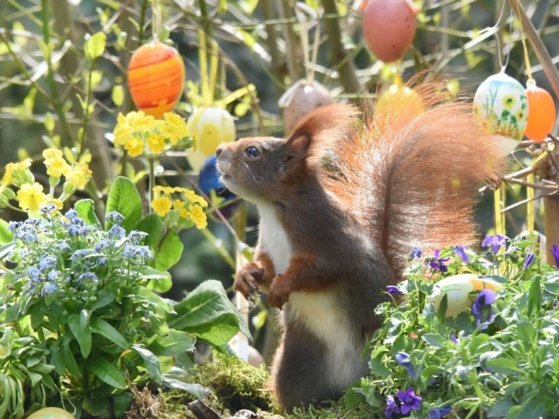 Ostern: Osterprozessionen im "sicheren" Spanien