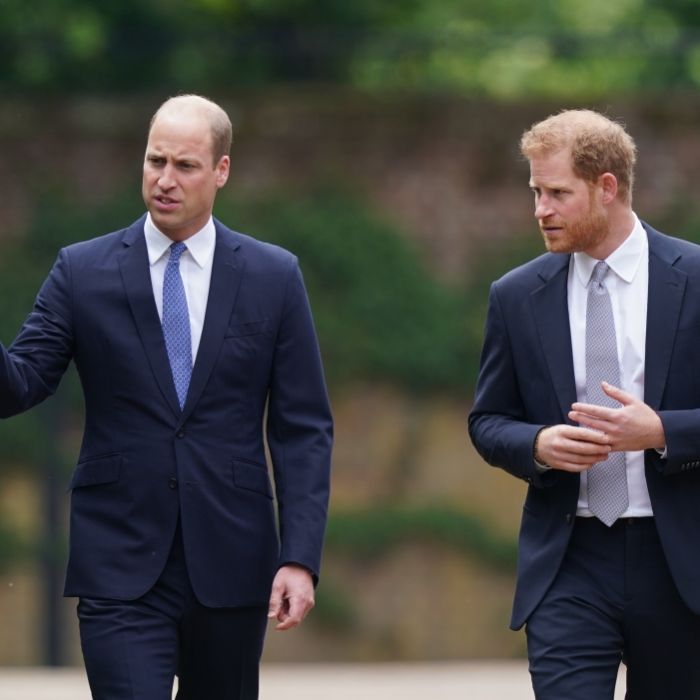 Thronfolger William ignoriert Harry bei Lady-Di-Event