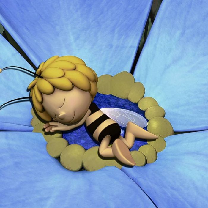 Wiederholung und Mediathek zur Sendung