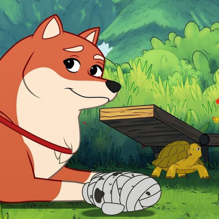 Wann und wo man die Wiederholung sehen kann