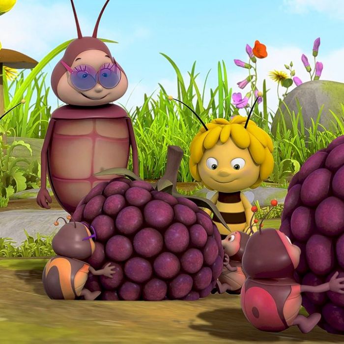 Wiederholung und Mediathek zur Sendung