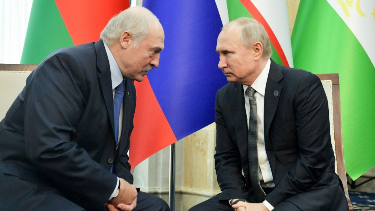 Alexander Lukaschenko hat Wladimir Putins Terror-Lüge entlarvt. (Foto)