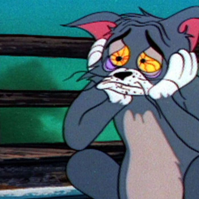 Wann und wo man die Wiederholung sehen kann