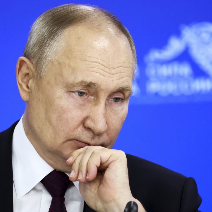 Wladimir Putin soll Politiker aus diesen sechs EU-Ländern bestochen haben
