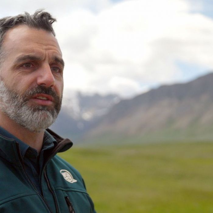 Wann und wo man die Wiederholung sehen kann