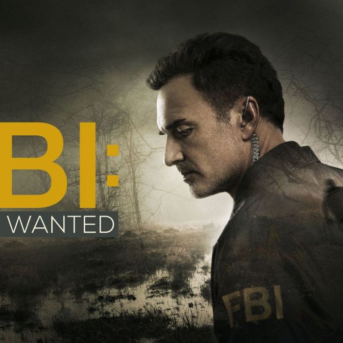 FBI: Most Wanted bei Sat.1