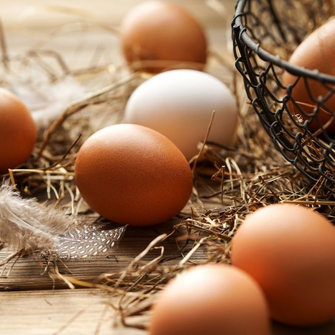 Landwirt erklärt: Braune Eier könnten aus Supermärkten verschwinden