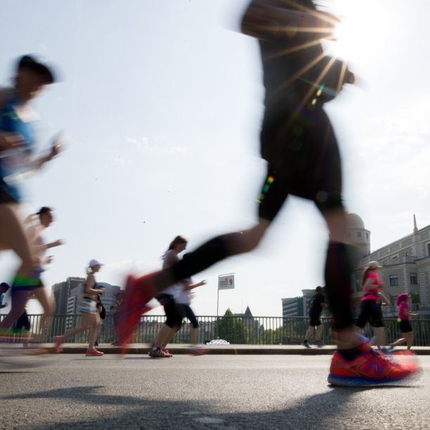 Strecke, Ergebnisse, Sperrungen - alles zum Wien-Marathon auf einen Blick