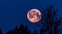Am 13.04.2025 strahlt ein pinkfarbener Vollmond am Himmel.