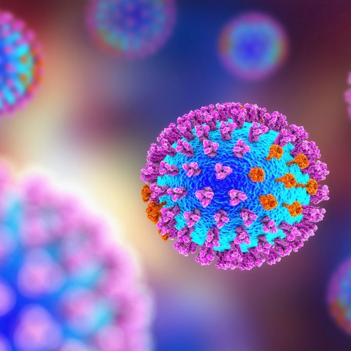 Neue Studie: Influenza könnte nächste Pandemie auslösen