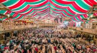 Mehr als 800 Menschen sollen sich im Festzelt beim Stuttgarter Frühlingsfest mit einem Magen-Darm-Virus infiziert haben.