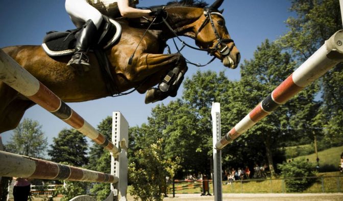 Springreiten: Weltcup Riad bei Eurosport 1