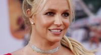 Britney Spears hat ihre Instagram-Seite wieder einmal gelöscht.